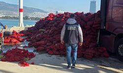 İzmir’de kaçak avlanan 27 ton kara midye ele geçirildi