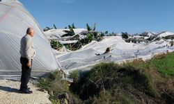 Manavgat'ta hortum, seralara zarar verdi