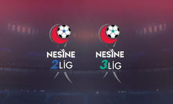 Nesine 2. Lig ve Nesine 3. Lig'e 2 hafta ara verildi