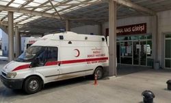 Ormandan topladıkları mantardan zehirlenen 4 kişi tedaviye alındı