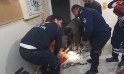 Şanlıurfa'da otizmli Poyraz'ın ölümününe ilişkin soruşturma