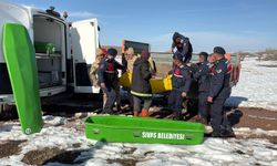 Sivas'ta 9 gündür aranıyordu; arazide ölü bulundu