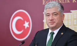 DEVA’lı Kısacık: Elektrikte devlet desteği fiilen kaldırıldı