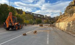 Tunceli’de kara yolunda ‘kaya’ tedbiri; kopan kayalar kamera