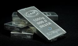 Gümüşte rekor 56 doların üzerine çıktı
