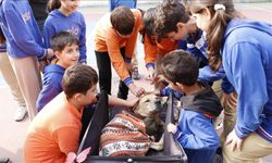 Engelli köpek "Kıvrık" hikayesiyle çocukların gönlüne dokunuyor
