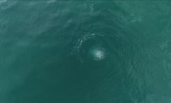 Sapanca Gölü'nde oluşan kabarcıklar su altından ve havadan görüntülendi