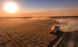 Çiftçilere 711 milyon 848 bin lira tarımsal destek ödemesi bugün yapılacak