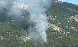 Muğla'da ormanlık alanda yangın çıktı