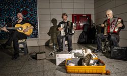 Sirkeci'de sokak sanatçılarına eşlik eden kedi yürekleri ısıtıyor