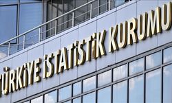 TÜİK, Avrupa İstatistik Ödülleri'ne damgasını vurdu