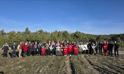 Amasya'da şehit 20 askerin adı dikilen fidanlarda yaşayacak