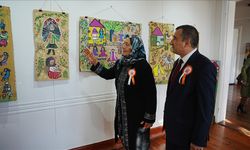 Çanakkale'de 73 yaşındaki Hakime teyzenin yaptığı resimlerden oluşan sergi açıldı