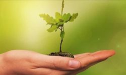 COP30'da küresel "yeşil sanayileşme" gündemi güçlendi