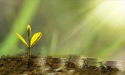 İklim finansmanında 2035'e kadar yıllık 1,3 trilyon dolarlık hedef "ulaşılabilir ve gerekli"