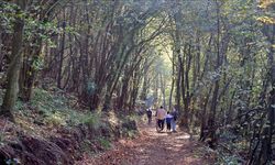 Canik Ekoturizm Alanı ve Doğa Yürüyüş Parkuru doğaseverleri ağırlıyor