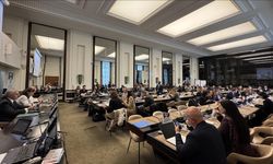 Türkiye'nin kamu-özel sektör işbirliği ile ilgili tecrübeleri BM'de paylaşıldı