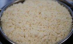 İpsala pirincinin güvenilirliği AB coğrafi işaret tesciliyle kanıtlandı