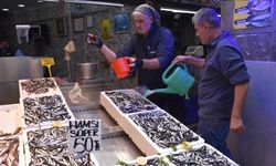 Trabzon'da balıkçı tezgahlarını hamsi süslüyor