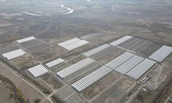 Doğu Anadolu'nun en büyük toplu sera alanı Erzincan'da kurulacak