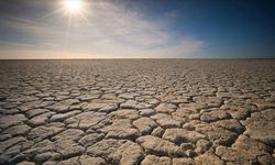 Küresel iklim değişikliği performans endeksinde ilk 3 sıra yine boş kaldı