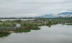 Vietnam'da şiddetli yağışların neden olduğu sellerde 55 kişi hayatını kaybetti