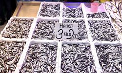 Trabzon'daki balıkçı tezgahlarında hamsinin kilogramı 75 liradan satılıyor