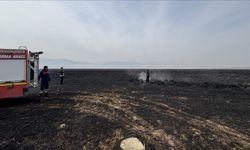 Hakkari'deki Nehil Sazlığı'nda 7 Kasım'da çıkan yangın söndürüldü