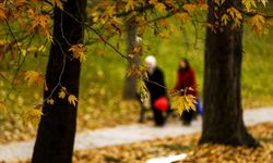 Bu hafta yurt genelinde sıcaklıklar mevsim normallerinin üzerinde seyredecek