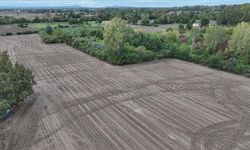 Tarımsal ekim döneminde gözler gelecek yağışlara çevrildi