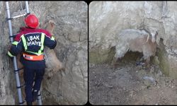 Uşak'ta kuyuya düşen keçiyi itfaiye kurtardı