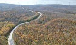 Tekirdağ'da ormanlar sonbahar renklerine büründü