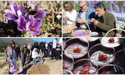 Karabük'te "Safran İmecesi" etkinliği düzenlendi