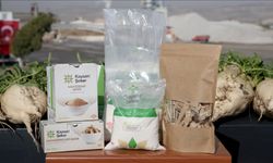 Kayseri Şeker bu sezon 475 bin ton şeker üretimi hedefliyor