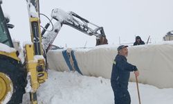 Üzerindeki karın ağırlığını taşıyamayan çadır çöktü, 8 koyun öldü