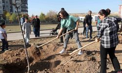 Yenimahalle'de ağaç dikme töreni düzenledi