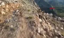 Kaçak avcılık yapan 4 kişi hakkında idari işlem