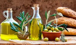 Türk zeytincilik sektöründe yeni UR-GE Projesi “OlivetoLive” olacak