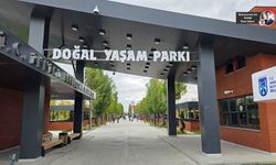 Başkentliler şehrin merkezinde doğal yaşamla buluşuyor