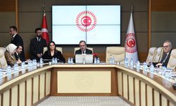 TBMM Engellilerin Sorunlarını Araştırma Komisyonu toplandı