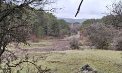 Karagöl Yaylası Kızak Şenliği için pist düzenlemesi yapıldı