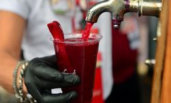 Adana'nın şalgam suyu için yapılan AB tescil başvurusu uygun bulundu