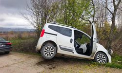 Ağaca çarpan hafif ticari araçtaki aynı aileden 4 kişi yaralandı