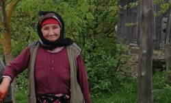 Çanakkale'de 90 yaşındaki kayıp Alzheimer hastası, ölü bulundu