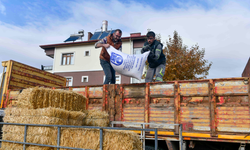 ABB’nin kırsal kalkınma destekleri sürüyor