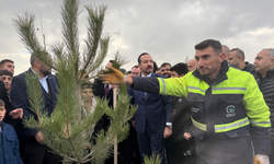 Ankara'da 'Türk Dünyası Hatıra Ormanı' oluşturuldu