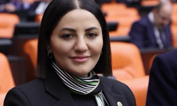 AK Partili Karslı’dan ‘Fıtrat’ ve ‘Nesil’ savunması