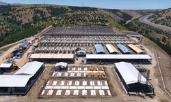 ABB'den hayvan bakımevine ait olduğu iddia edilen görüntülere ilgili açıklama