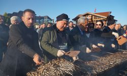 Festivalde 2 saatte 2 ton hamsi tüketildi