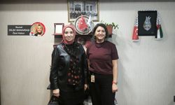 Taciz skandalı sorunun ne kadar yaygın olduğunun göstergesi